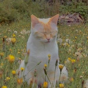 everything below is sold !! <3